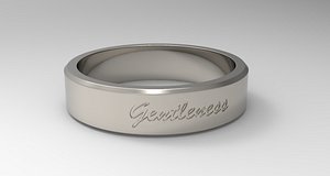 Gentleness Ring Platinum 3D model