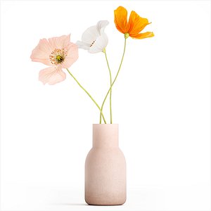 Small Bouquet Of Wildflowers Poppy In A Vase 406 model