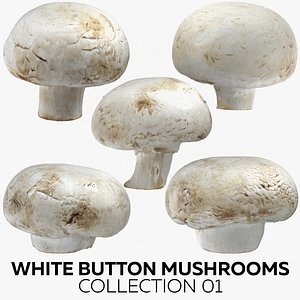 3D white button mushrooms 01