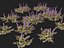 HighPolyLowPoly Ajuga reptans - Carpet bugleweed