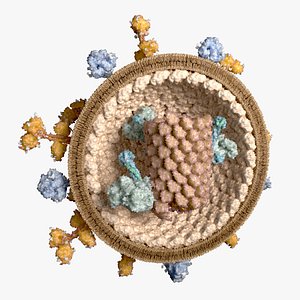 Nipahvirus- Half with Genome