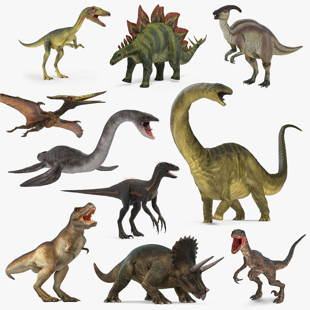 Rigged Dinosaurs Collection 5 3D model preview