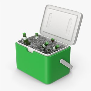 3D Plastic Ice Cooler With Cold Beer Bottles