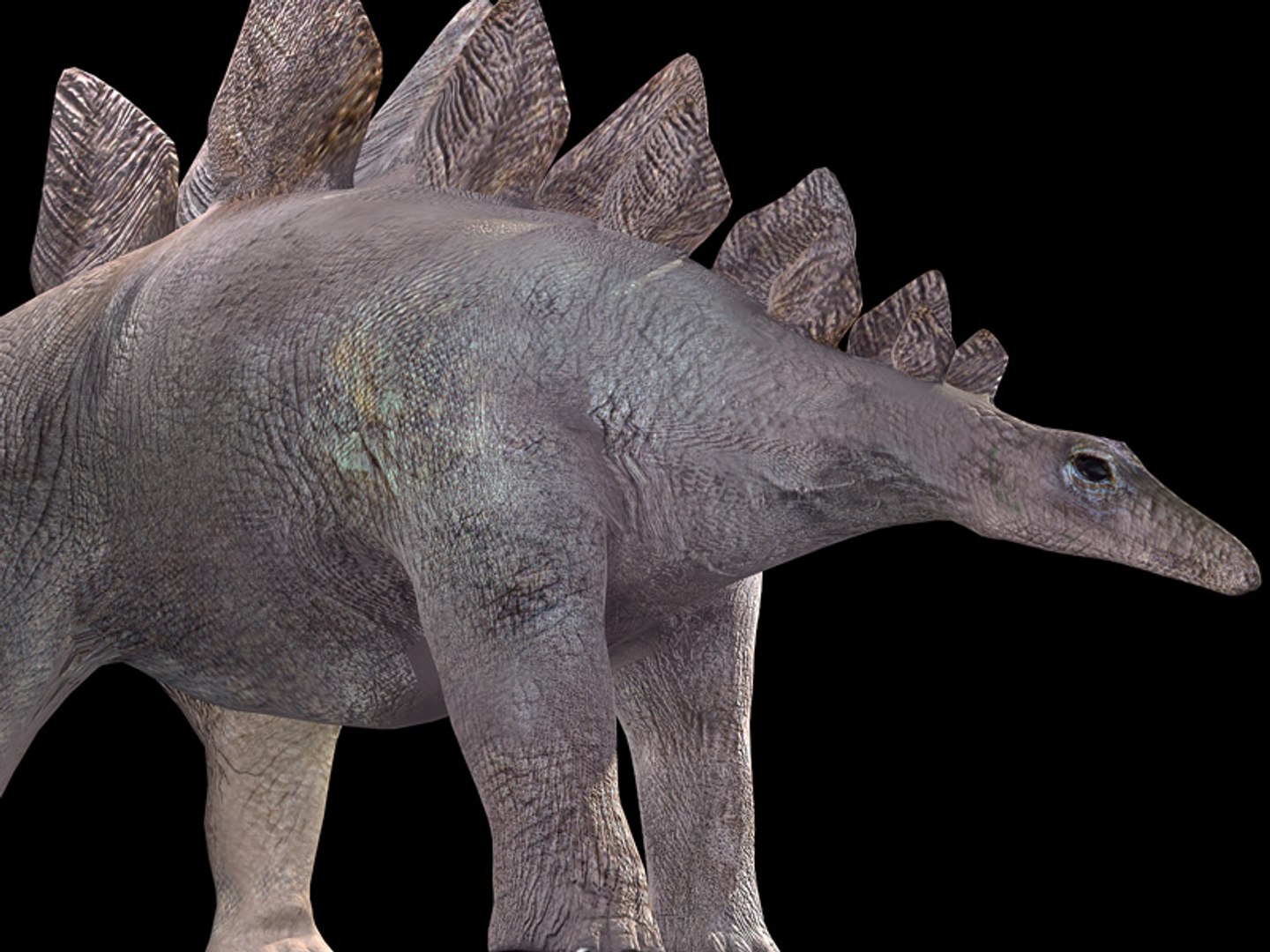3d animations model https://p.turbosquid.com/ts-thumb/1S/FVgc9U/5VxAXB1f/tavola6/jpg/1424628777/1920x1080/fit_q87/43b2f8acee907887849ac4fd3399293fca0ceec7/tavola6.jpg