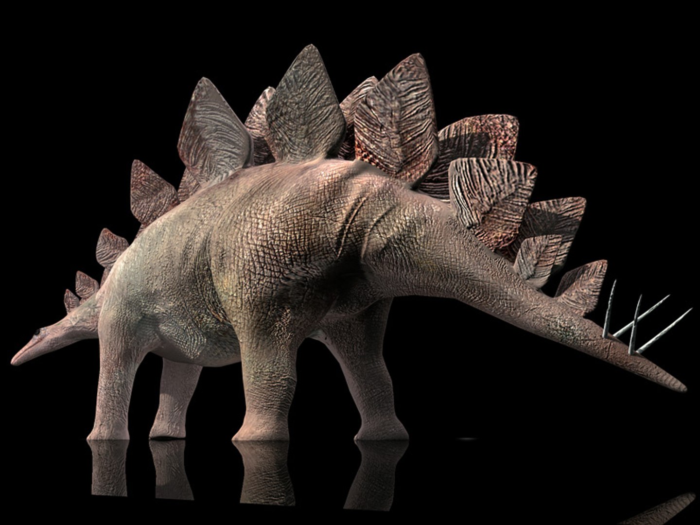 3d animations model https://p.turbosquid.com/ts-thumb/1S/FVgc9U/9Li56CaS/tavola7/jpg/1424628777/1920x1080/fit_q87/f8a107f1faee2393539ac2f999befd11fe7ac420/tavola7.jpg
