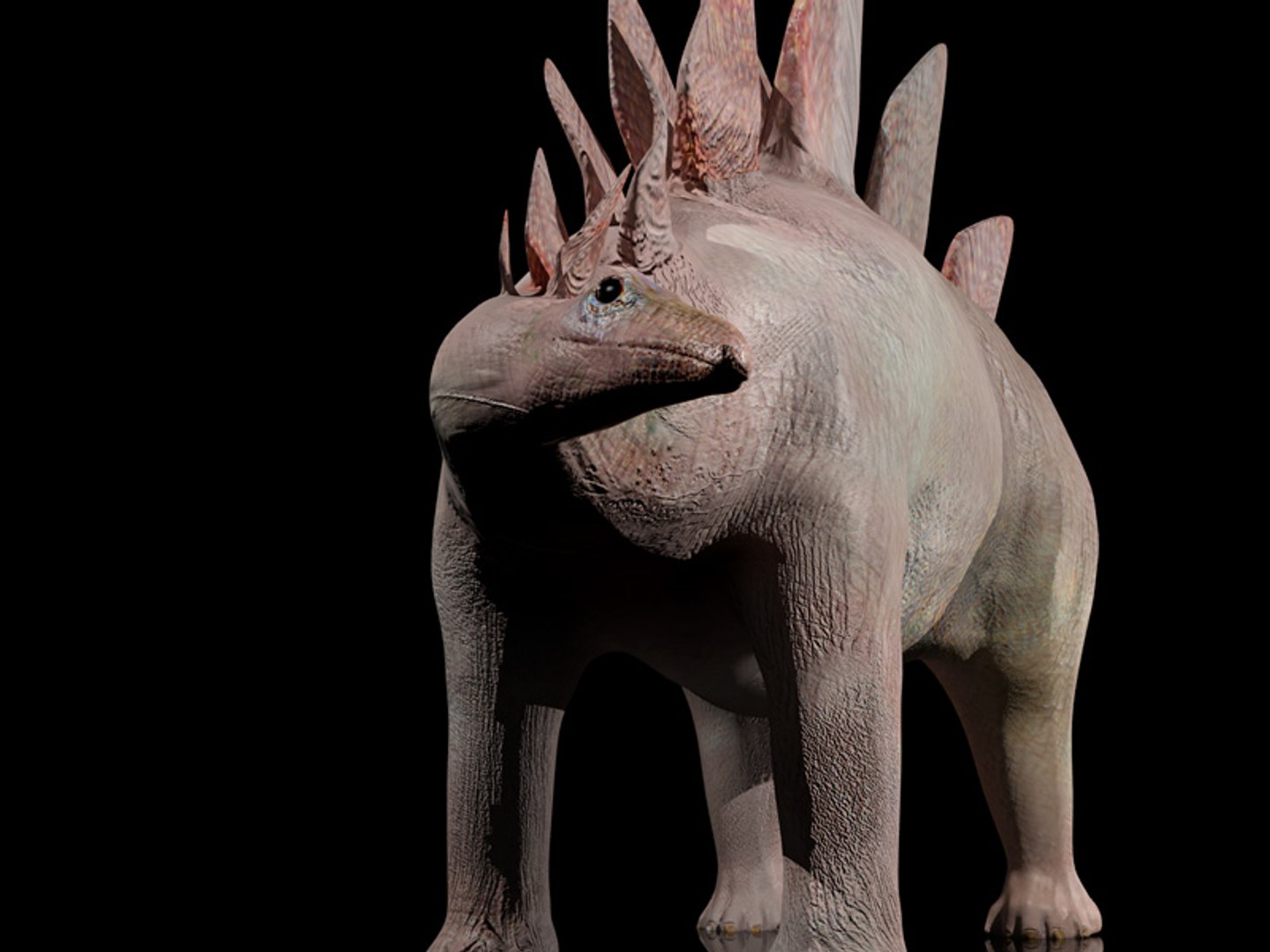 3d animations model https://p.turbosquid.com/ts-thumb/1S/FVgc9U/BAxZBYRD/tavola13/jpg/1424628777/1920x1080/fit_q87/36273fad9537472ab68690f8af522a33da61df22/tavola13.jpg