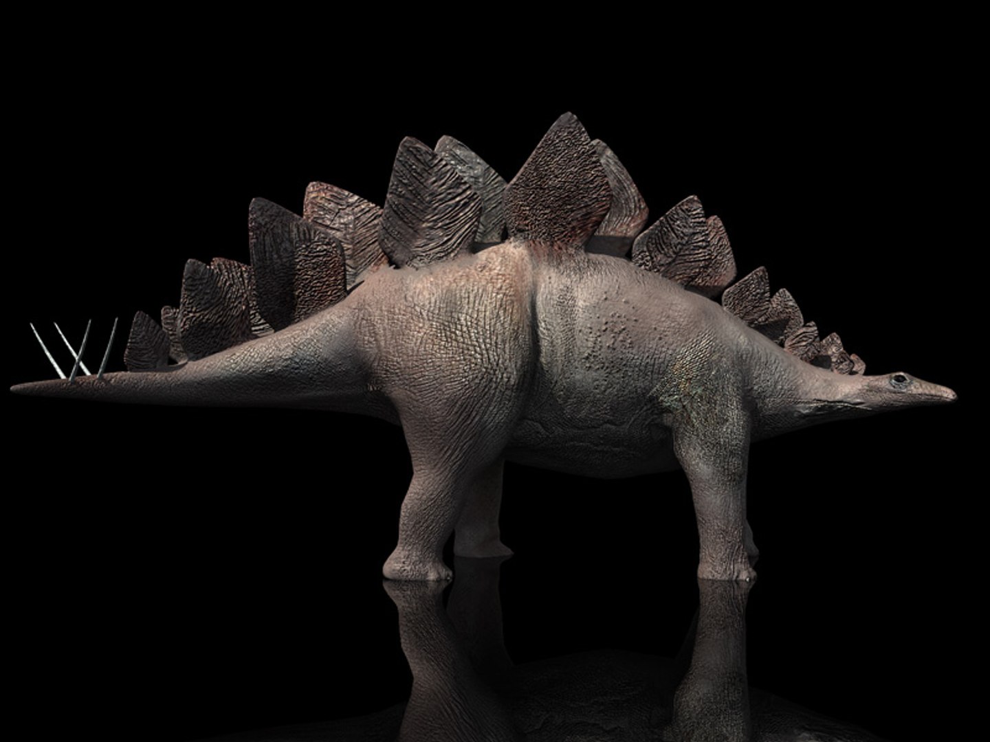3d animations model https://p.turbosquid.com/ts-thumb/1S/FVgc9U/DBXuwoU5/tavola2/jpg/1424628777/1920x1080/fit_q87/4c713a3f20f0d1ceeefc7914ba3c23357ef57598/tavola2.jpg
