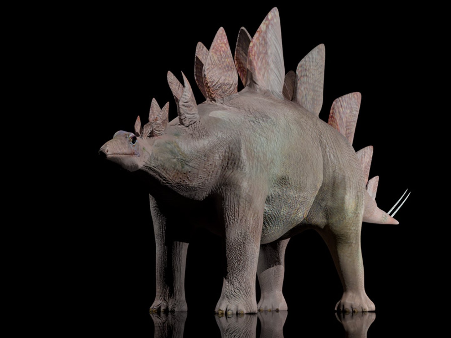 3d animations model https://p.turbosquid.com/ts-thumb/1S/FVgc9U/UVTBKfkp/tavola10/jpg/1424628777/1920x1080/fit_q87/d6f98248f0243aff9490889e60b30a080fa9aa89/tavola10.jpg