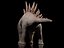 Stegosaurus
