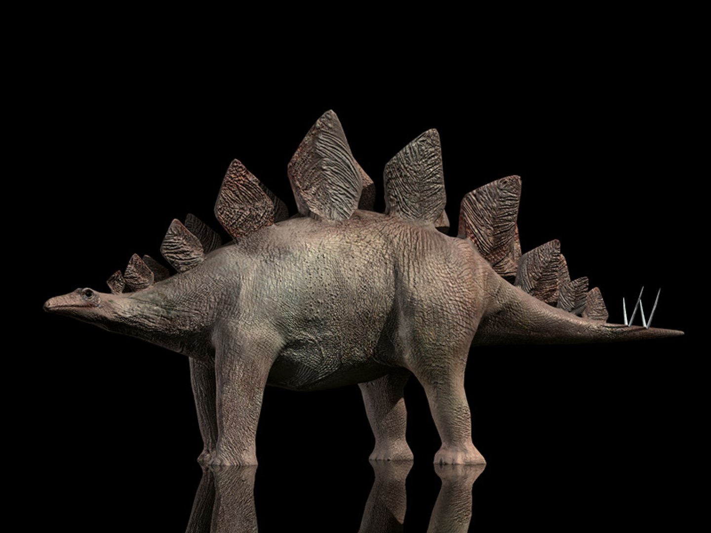 3d animations model https://p.turbosquid.com/ts-thumb/1S/FVgc9U/fZBk5Lcz/tavola1/jpg/1424628777/1920x1080/fit_q87/7bd47fb9697056e84184a78ff0a58efd6b9edc48/tavola1.jpg