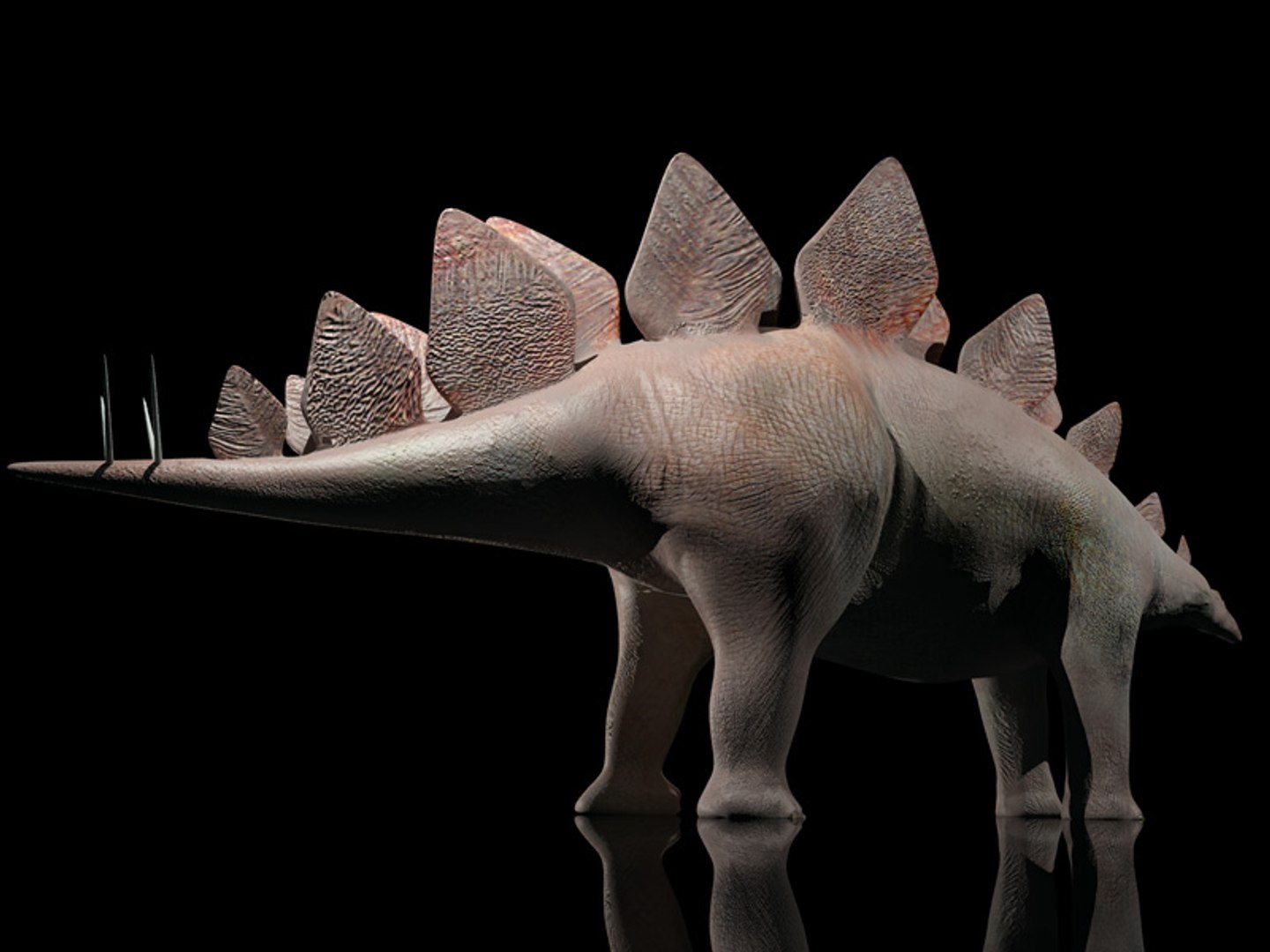 3d animations model https://p.turbosquid.com/ts-thumb/1S/FVgc9U/yq5SSZ4U/tavola11/jpg/1424628777/1920x1080/fit_q87/6ad1e82516d7a200c0969159e49ec774036e9de7/tavola11.jpg