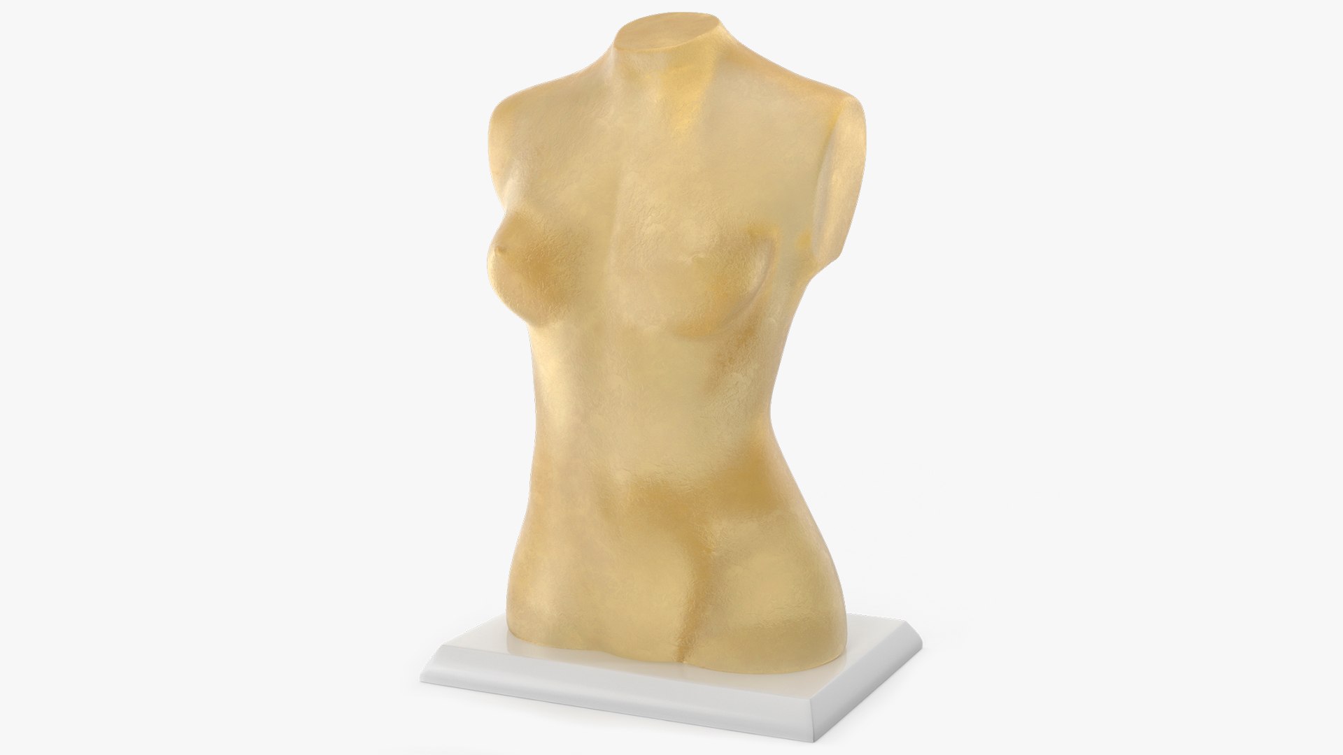 Ballistic Gel Female Torso Target 3D model preview