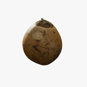 Anydrafts Cocos nucifera 01 3D