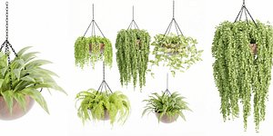 Hanging plants collection vol 33-Blender 3D model
