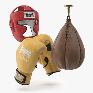 3D model Boxing Gloves Head Guard  Speed Bag Set