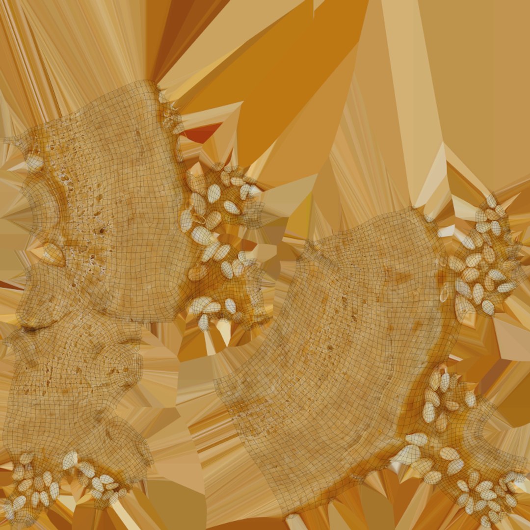3D Sesame Ring Cookie - 3D Scanned https://p.turbosquid.com/ts-thumb/1S/n0zqFp/Om/cookiesesamering_e0004/png/1780338553/1920x1080/fit_q87/2fcfae6d820cb54ab0da07e8966c2f80fa1d5ad1/cookiesesamering_e0004.jpg