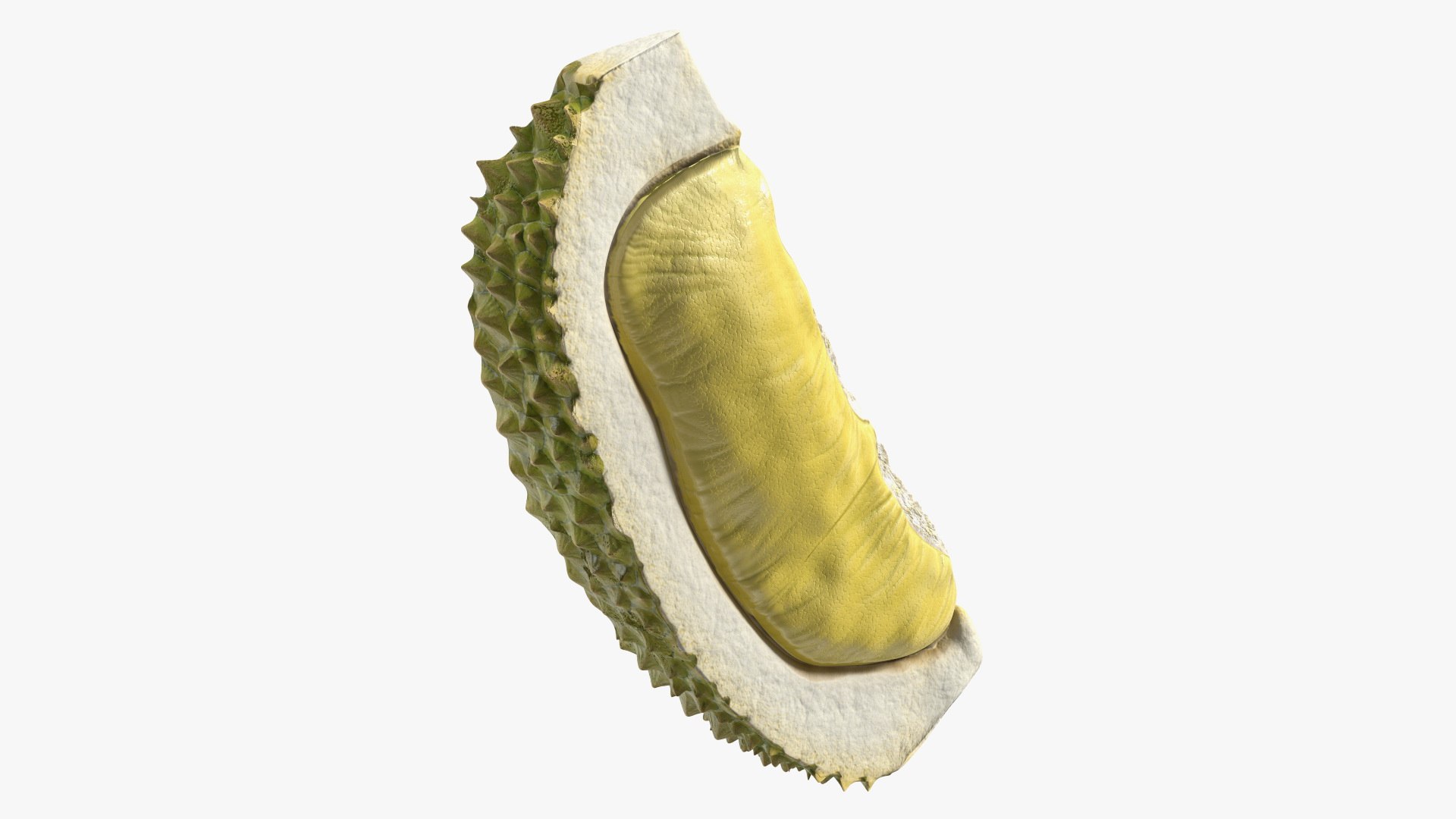 Fresh Riped Durian Fruit Slice 3D model preview