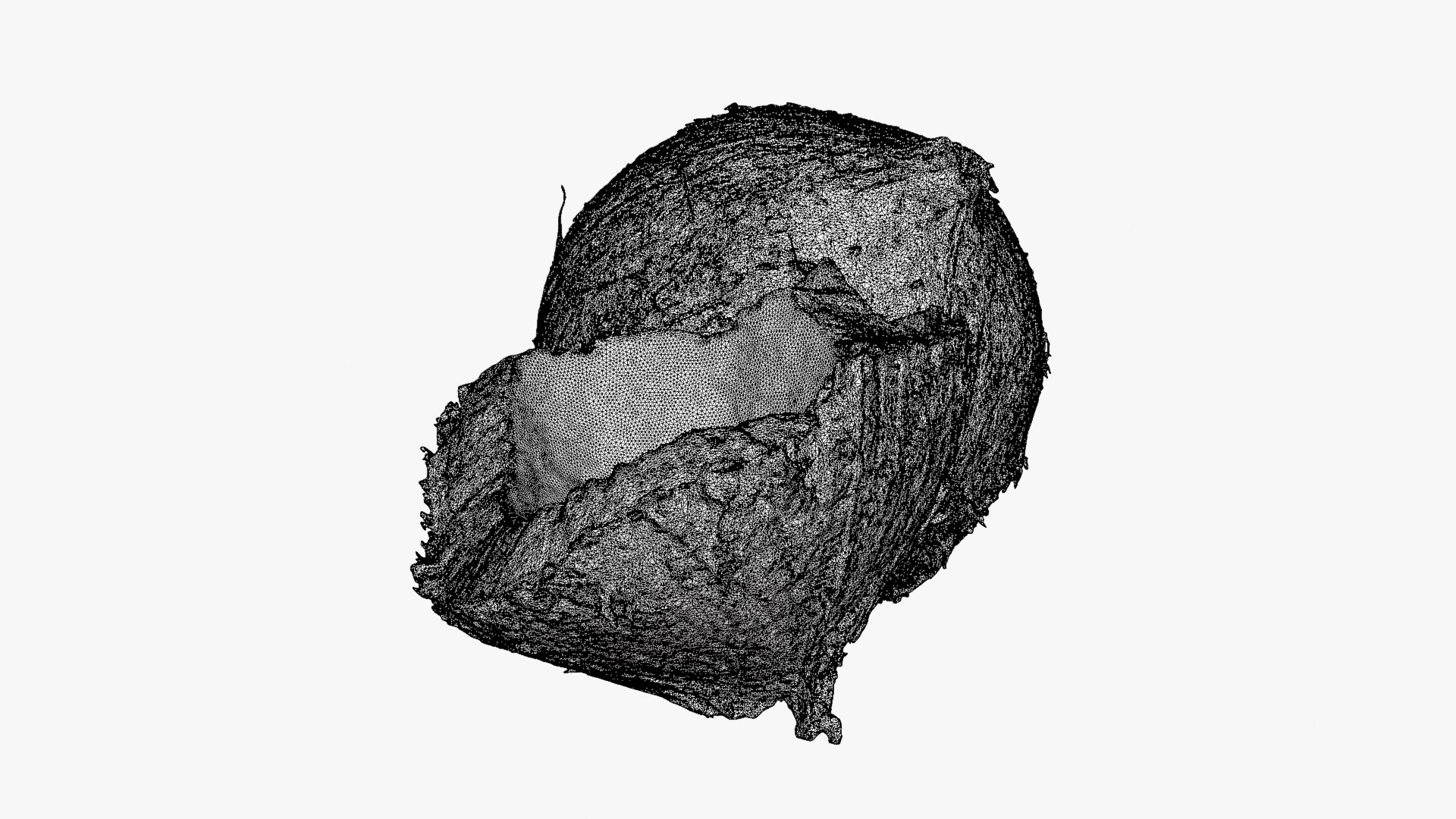 Coconuts 3D https://p.turbosquid.com/ts-thumb/1S/pIzYVm/1N/cutcoconut02_d0006/png/1774471057/1920x1080/fit_q87/3a178d5e5c30ad854a4f7aef45fb863e39ffc4cc/cutcoconut02_d0006.jpg