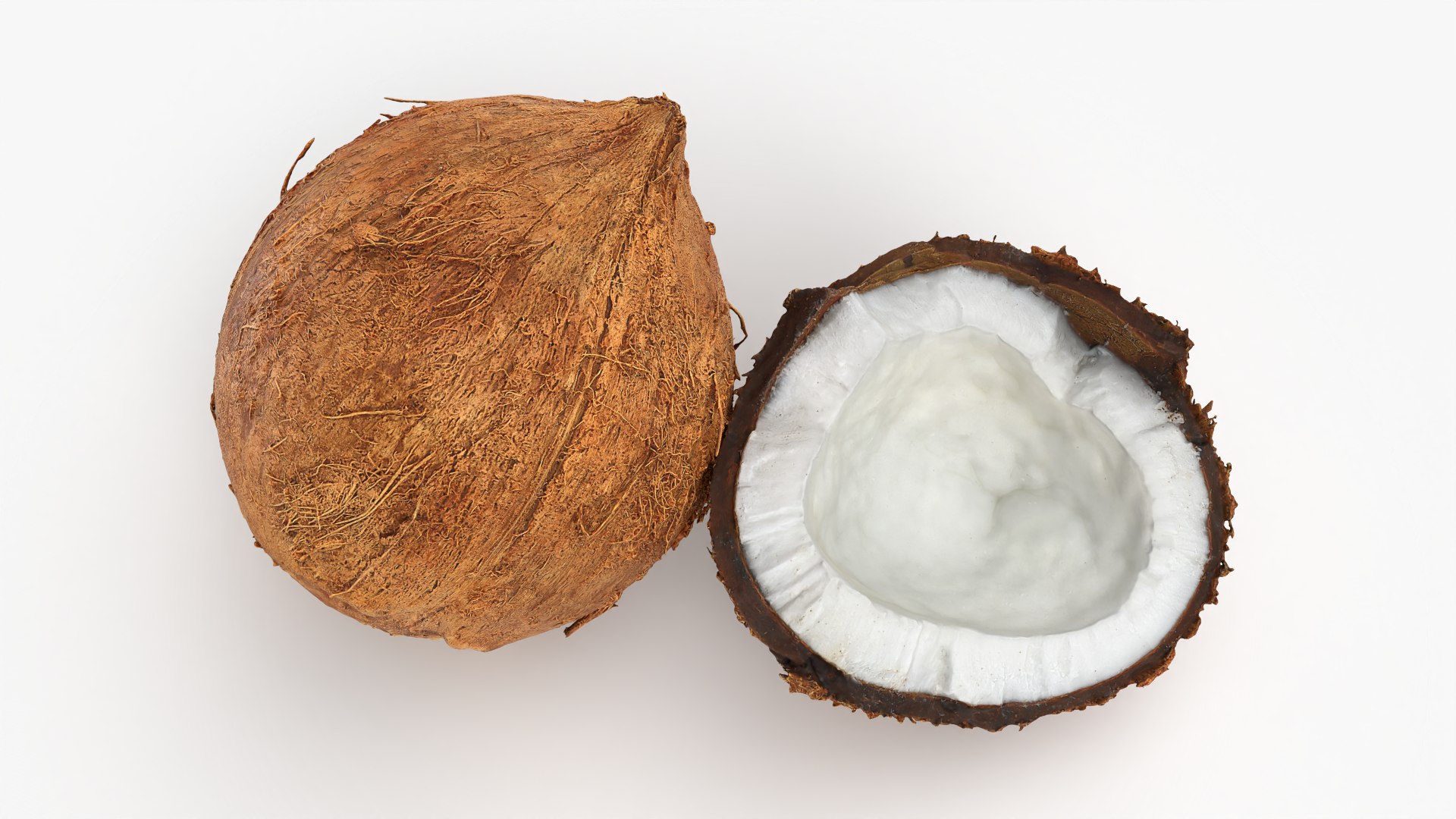 Coconuts 3D https://p.turbosquid.com/ts-thumb/1S/pIzYVm/5m/cutcoconut02_0002/png/1774470986/1920x1080/fit_q87/9adfba7fea6c1e4a481d9e4cd1b2769254d0c1df/cutcoconut02_0002.jpg