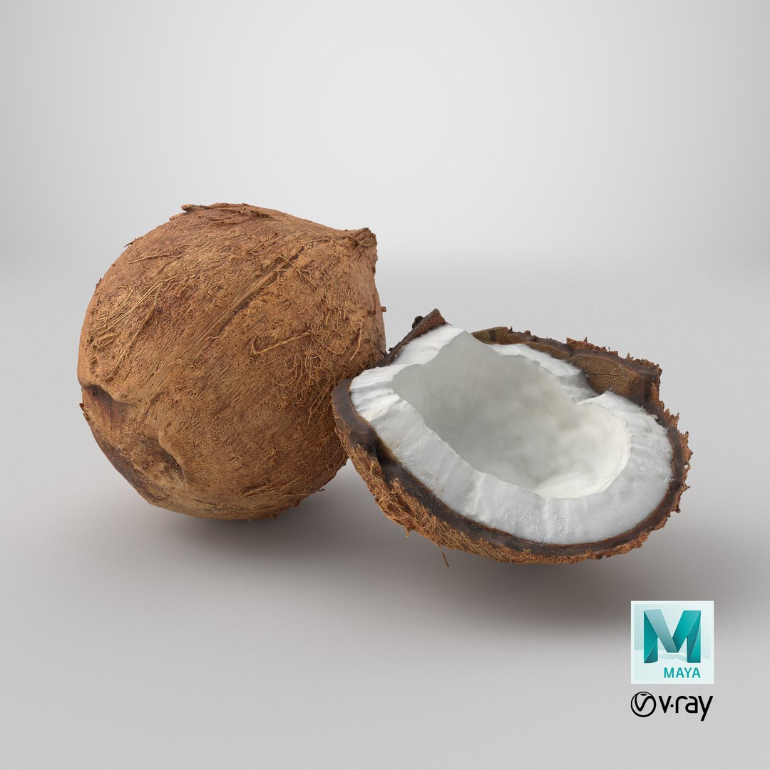 Coconuts 3D https://p.turbosquid.com/ts-thumb/1S/pIzYVm/7e/stemcell_maya_vray_render/png/1775214965/1920x1080/fit_q87/e37377311106b04ca7a20d8e0d9ffa33710c1011/stemcell_maya_vray_render.jpg