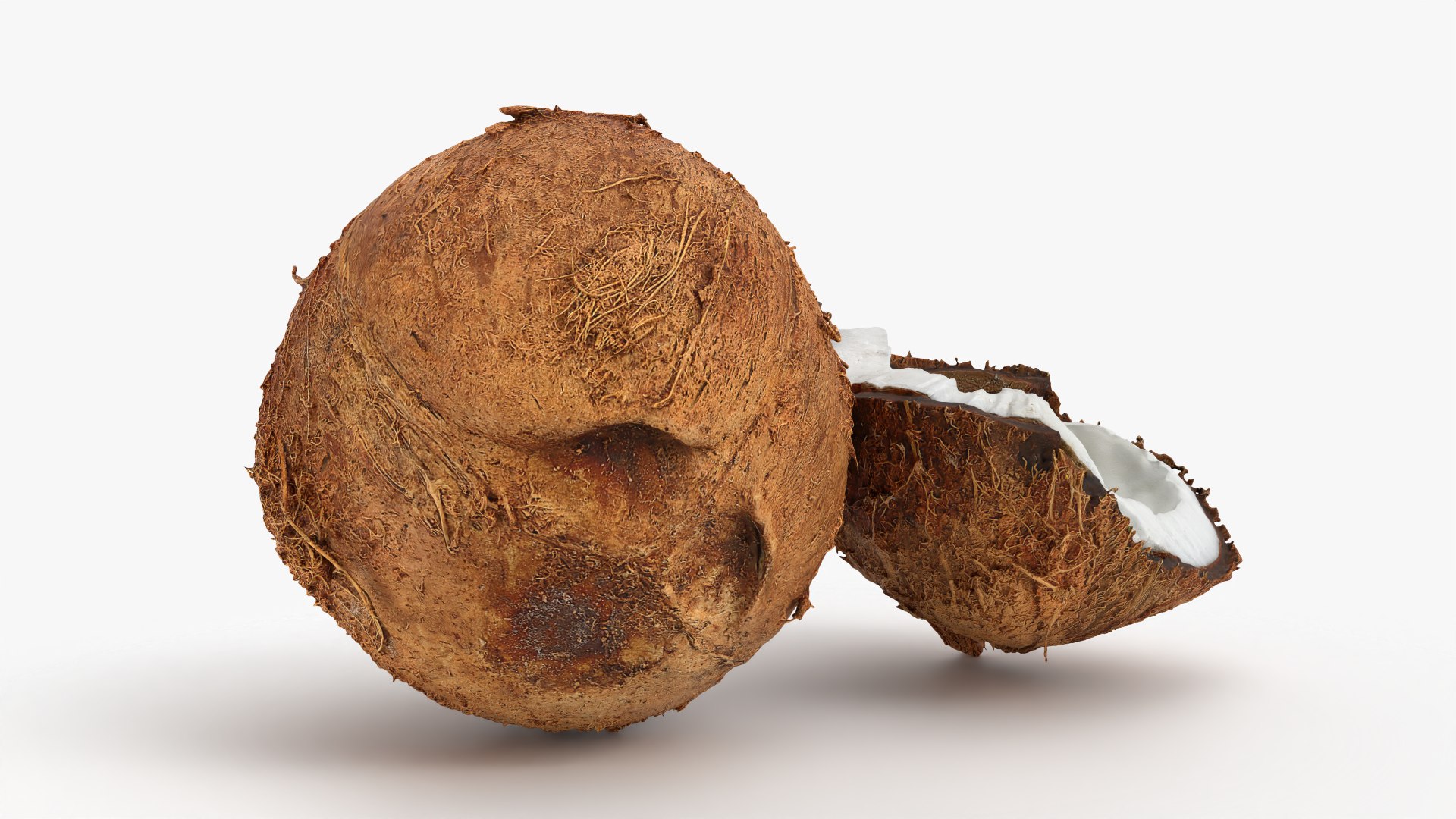 Coconuts 3D https://p.turbosquid.com/ts-thumb/1S/pIzYVm/HZ/cutcoconut02_0007/png/1774471046/1920x1080/fit_q87/d707b17071008112448b6d15f73f7a7aabc5a5ae/cutcoconut02_0007.jpg