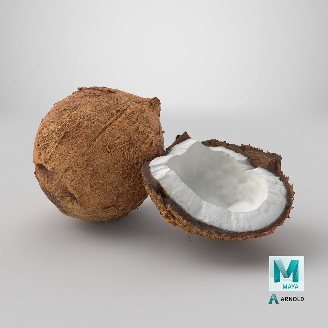 Coconuts 3D https://p.turbosquid.com/ts-thumb/1S/pIzYVm/Hm/stemcell_maya_arnold_render/png/1775214963/1920x1080/fit_q87/396824d3369dc71e23809aa74b8ea492bb2dd6d7/stemcell_maya_arnold_render.jpg