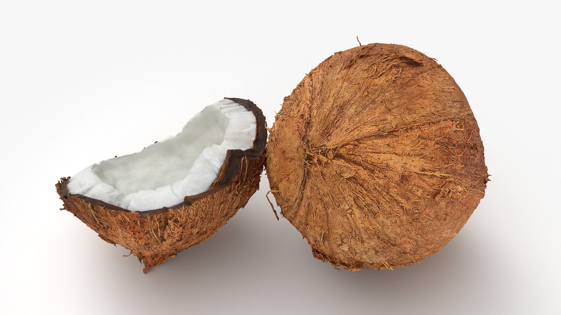 Coconuts 3D https://p.turbosquid.com/ts-thumb/1S/pIzYVm/S2/cutcoconut02_0005/png/1774471020/1920x1080/fit_q87/51ec06ac5fcde4f5b33f26370ad06a7cd0f0b13d/cutcoconut02_0005.jpg