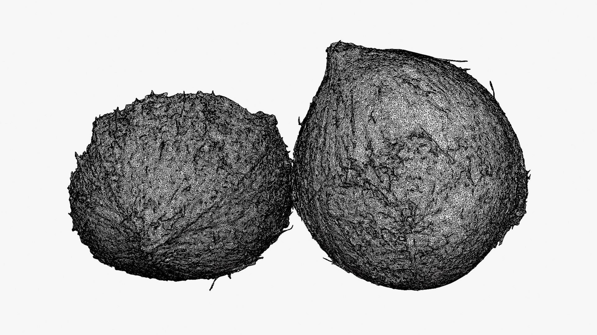 Coconuts 3D https://p.turbosquid.com/ts-thumb/1S/pIzYVm/Vm/cutcoconut02_d000/png/1774471052/1920x1080/fit_q87/0991223bc73f675cdd35c8053fbfabd4ecc0e55e/cutcoconut02_d000.jpg