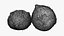 Noci di cocco
