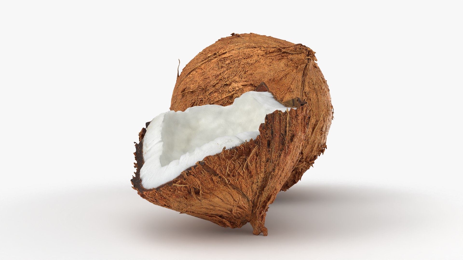 Coconuts 3D https://p.turbosquid.com/ts-thumb/1S/pIzYVm/ZL/cutcoconut02_0006/png/1774471024/1920x1080/fit_q87/248d51abbd3ece8165ffb590af554dbc00364fc9/cutcoconut02_0006.jpg
