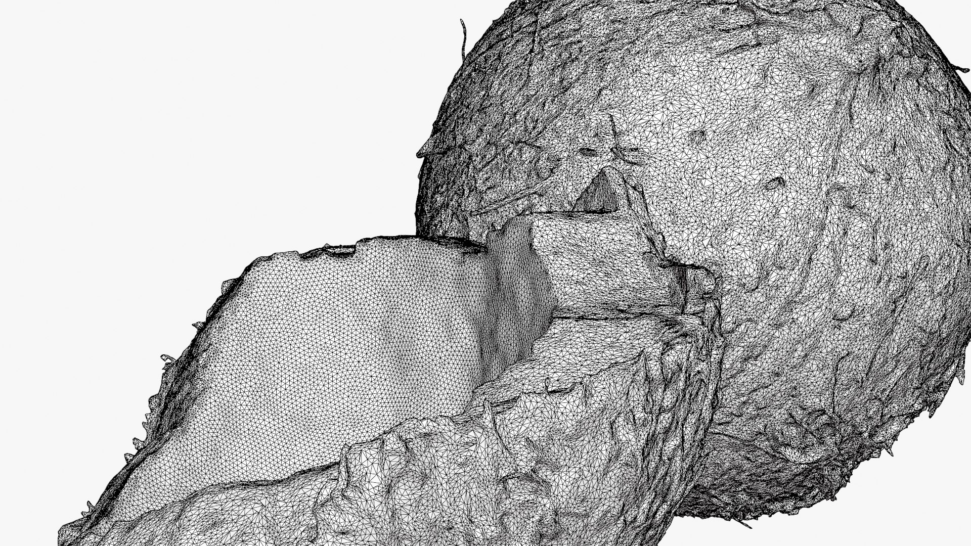 Coconuts 3D https://p.turbosquid.com/ts-thumb/1S/pIzYVm/gT/cutcoconut02_d0008/png/1774471067/1920x1080/fit_q87/13436ff0fcb1e41ac8ca6eefd18ff8de83158c37/cutcoconut02_d0008.jpg