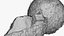 Noci di cocco