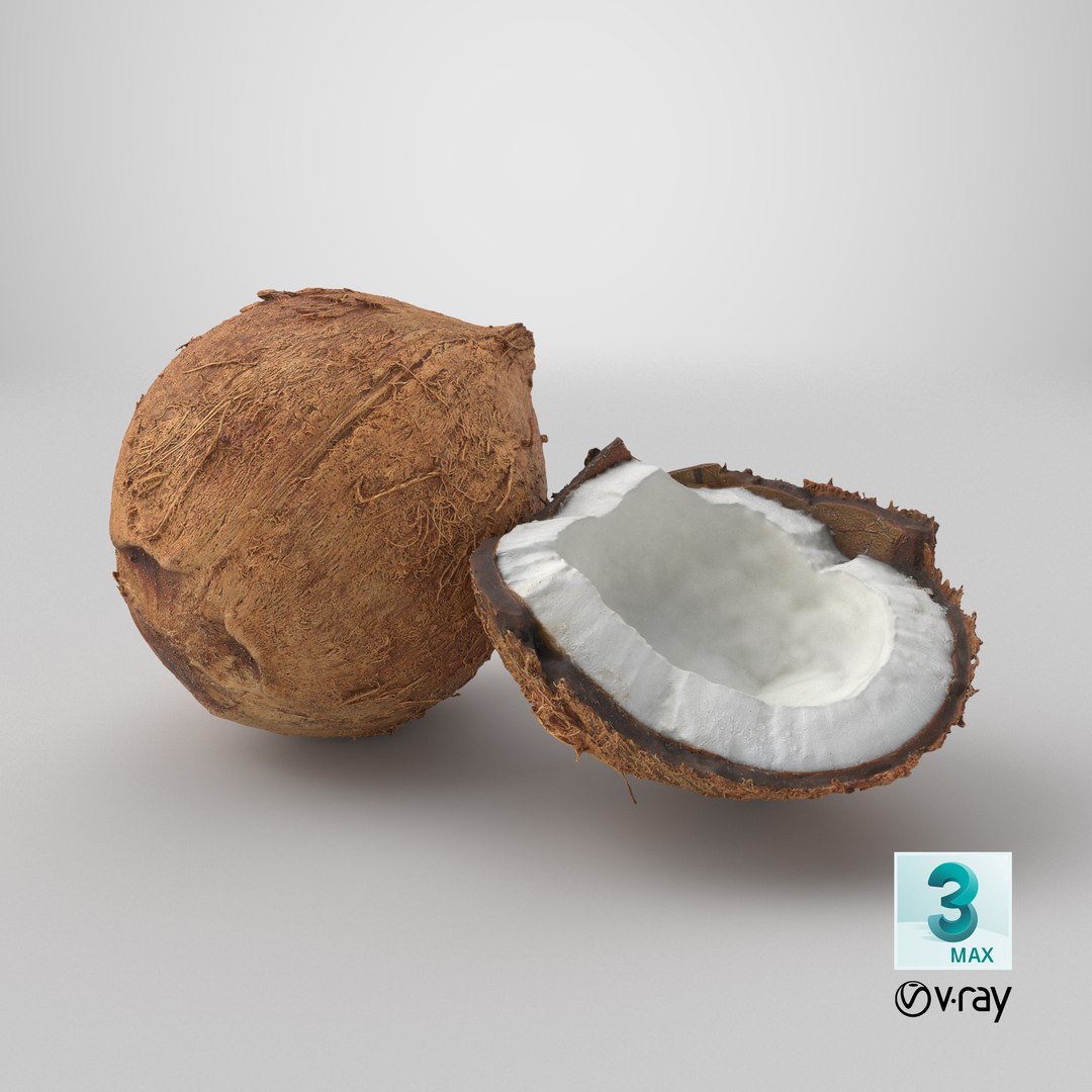 Coconuts 3D https://p.turbosquid.com/ts-thumb/1S/pIzYVm/t9/stemcell_max_vray_render/png/1775214971/1920x1080/fit_q87/476d1e05f4c8317c7b39df9552bdbaa7cee01f9e/stemcell_max_vray_render.jpg