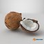 Noci di cocco