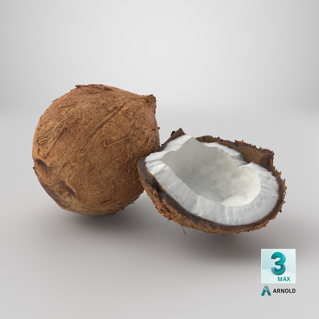 Coconuts 3D https://p.turbosquid.com/ts-thumb/1S/pIzYVm/y5/stemcell_max_arnold_render/png/1775214973/1920x1080/fit_q87/5554272ec02700fca3db77a9fcc4fa9d3a77a41c/stemcell_max_arnold_render.jpg