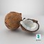 Noci di cocco