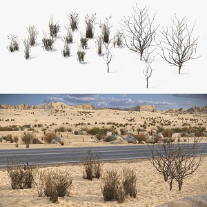 Dry Bushes with Grass Tufts Cluster Set Low Poly 3D model