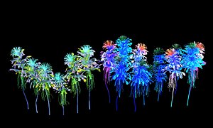 glowing flower 3D model
