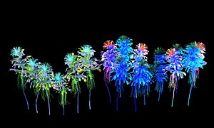Glowing Flower Animated