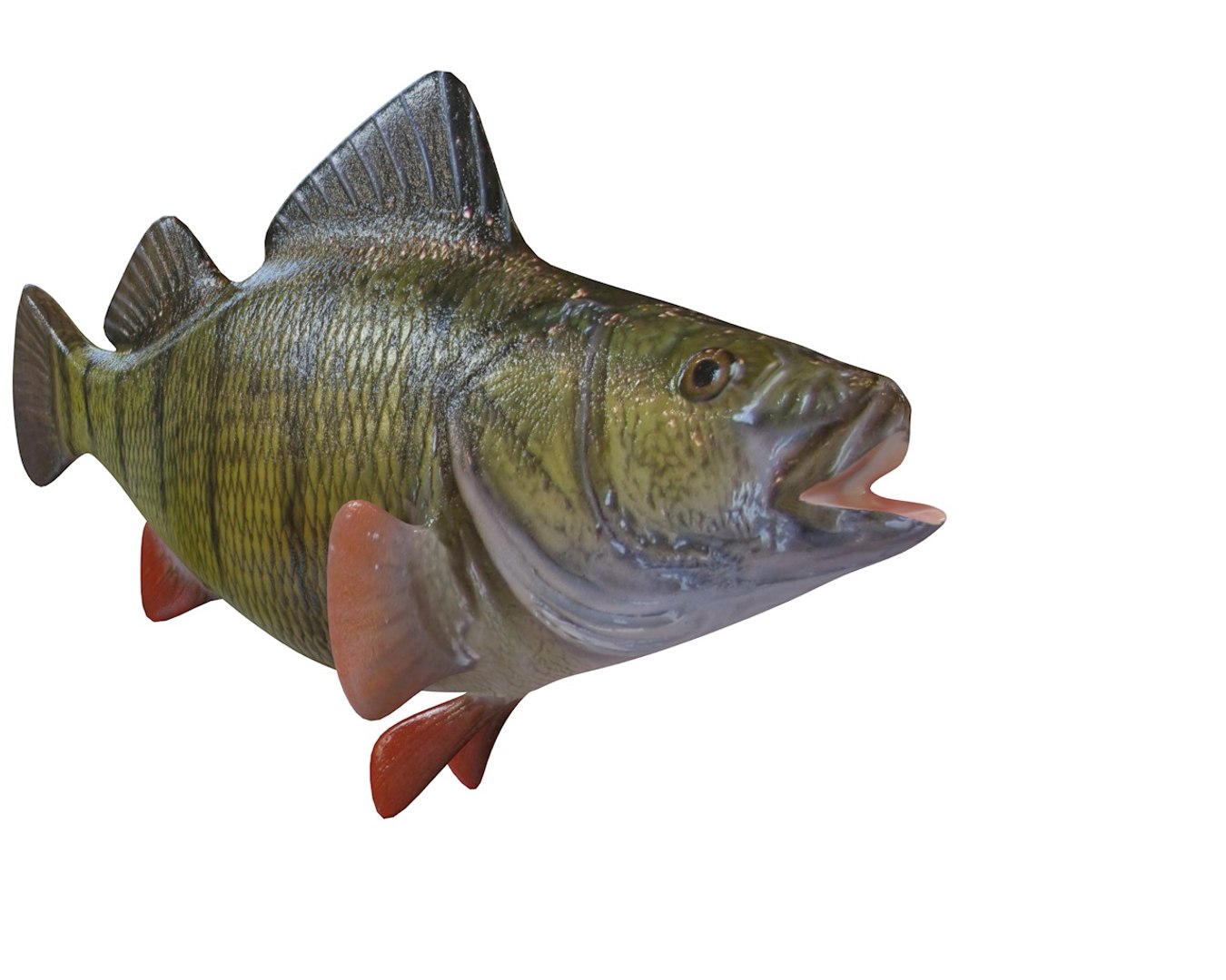 3D fish model - TurboSquid 1551913