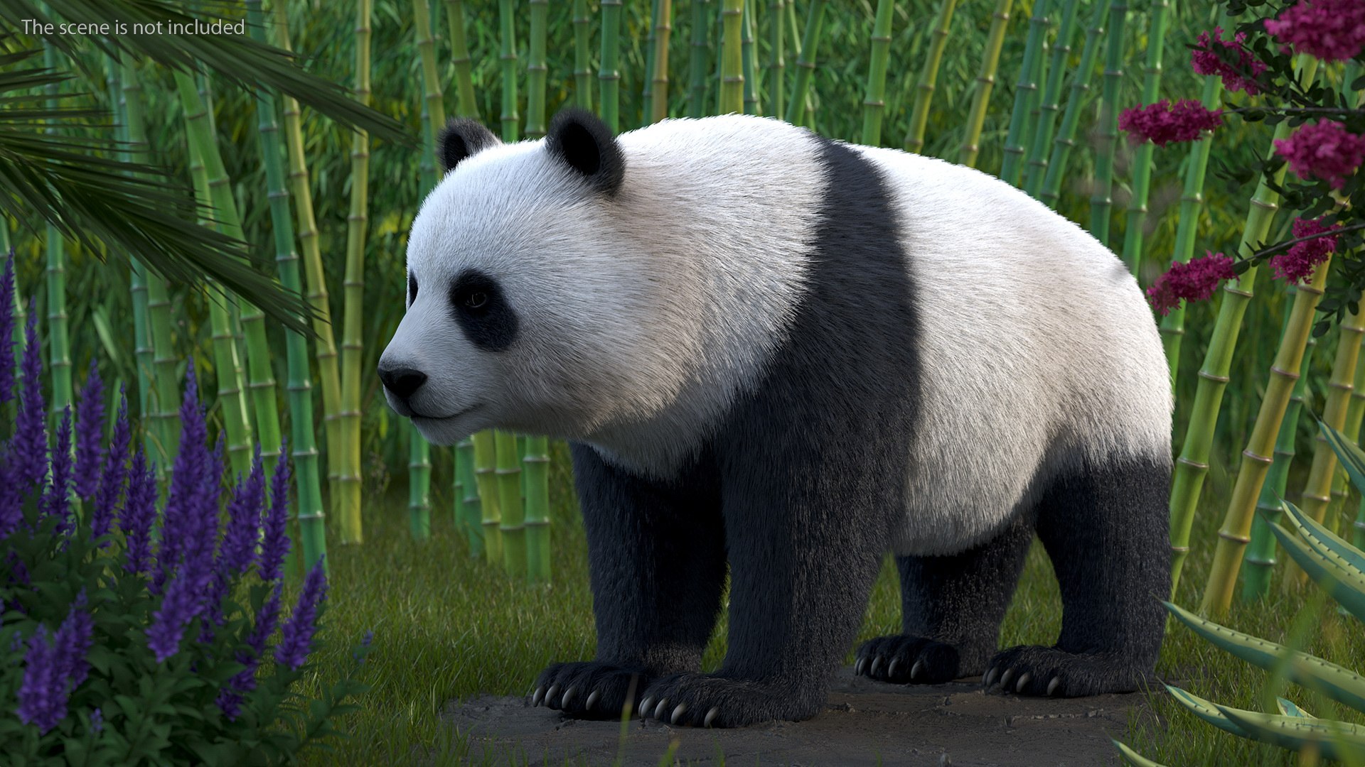 Giant Panda Fur 3D Model - TurboSquid 1810285