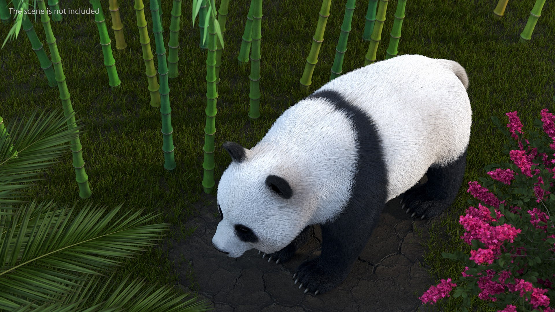 Giant Panda Fur 3D Model - TurboSquid 1810285