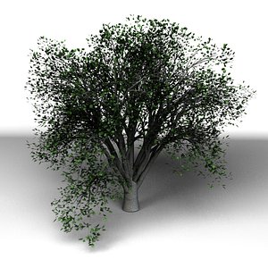 3d tree