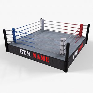 PBR Boxing Ring - Type A