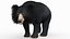 sloth bear animal 3D