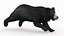 sloth bear animal 3D