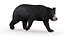 sloth bear animal 3D