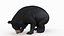 sloth bear animal 3D