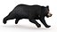 sloth bear animal 3D
