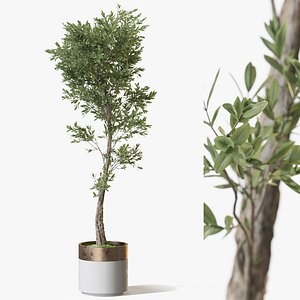 3D model Plant 1317